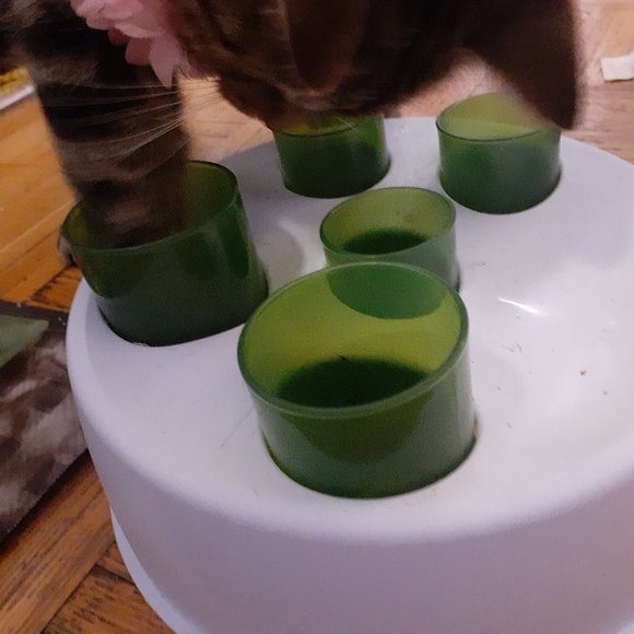 SALE!! Brand New Catit Senses 2.0 - Picture 4 of 4